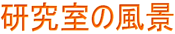 ̕i
