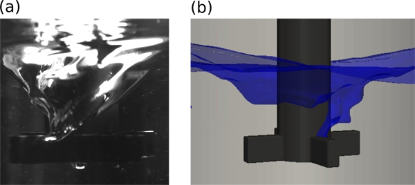 Fig. 4:Snapshots of (a) experimental and (b) simulated free surface shapes during mechanical stirring.