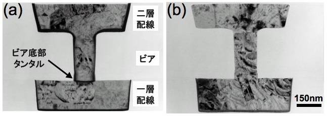 45nm世代LSI配線用の新合金を開発