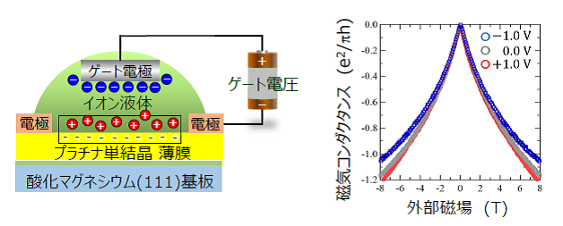 単結晶プラチナ薄膜（3 nm）における磁気コンダクタンスのゲート電圧依存性。