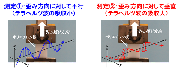 図2　測定におけるテラヘルツ波の偏光方向と歪んだポリエチレンによるテラヘルツ波が吸収される大きさ