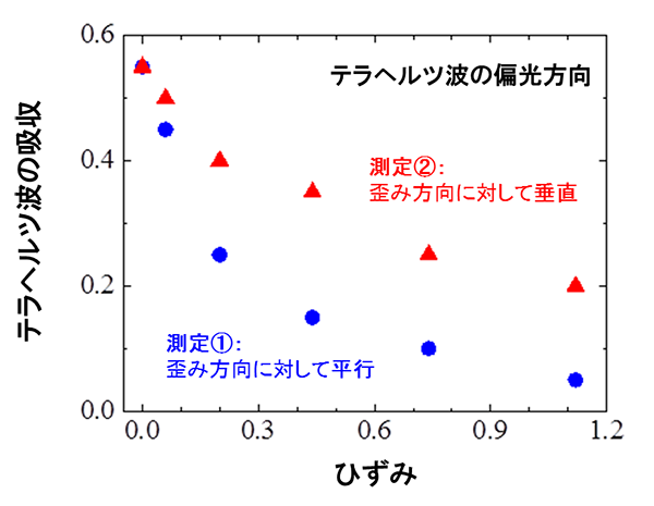 図4　各ひずみにおけるテラヘルツ波の吸収