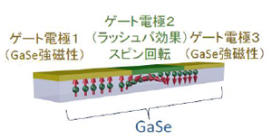 図3 全GaSe スピントランジスタの概念図。強磁性体電極を用いることなくGaSe のみで電界効果スピントランジスタを構成できる。ゲート電極1，3 は電界効果によりGaSe を強磁性にする。電極2 はラッシュバ効果によりスピンの回転を電界制御する役割をはたす。