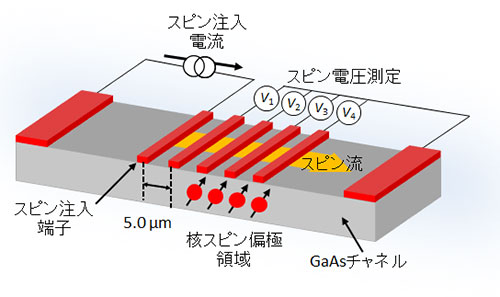 図1. 本研究で使用したスピン注入端子