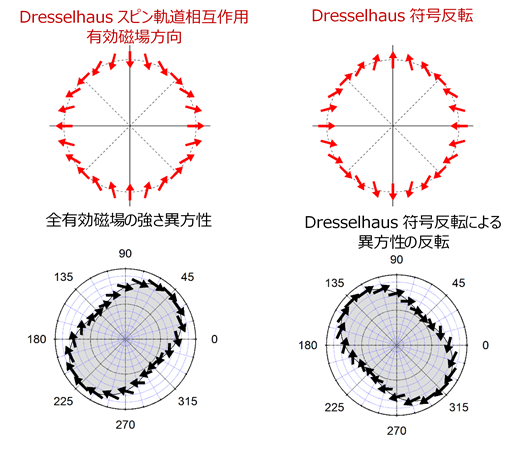 図4　Dressehausスピン軌道相互作用の作る有効磁場方向とRashbaスピン軌道相互作用を組み合わせた全有効磁場の強さの異方性