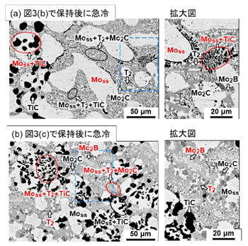 図4 図3 (b) および (c) で保持後に急冷凝固したモシブチック合金の断面組織。