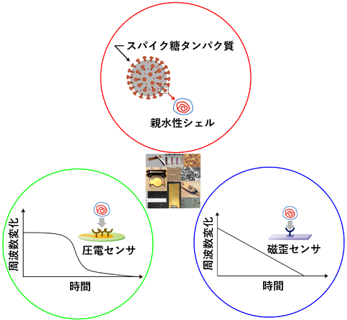 図1 ウイルスセンサの概念図