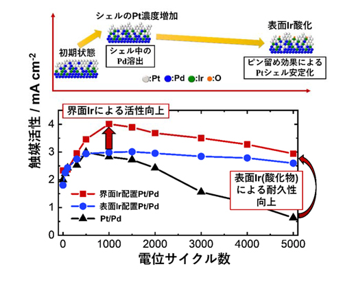 図2  コアシェルモデル触媒の加速劣化試験中における界面Ir配置Pt/Pd試料の活性・耐久性向上イメージと触媒活性（酸素還元反応活性）の推移。