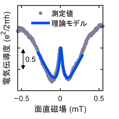 電気伝導度の面直磁場依存性(灰色)および理論モデルによるフィッティング曲線(青色)