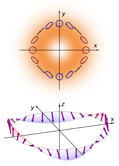 図 1 ベクトル光渦 の方位角依存の偏光分布(上)とそれによって生成が期待される方位角依存のスピン空間構造 (下）