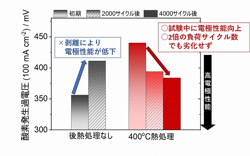 入力電力が変動するグリーン水素製造装置における水電解電極の耐久性を向上 - 界面ミクロ構造の制御により触媒層の剥離を抑制 -