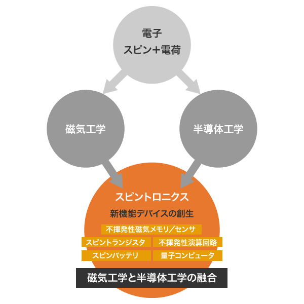 （図/写真2）スピントロニクスの概念図