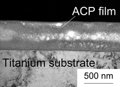 （図/写真2）TEM（Transmission Electron Microscope：透過型電子顕微鏡）でみた非晶質リン酸カルシウム（ACP）コーティング膜の様子。RFマグネトロンスパッタリング法によりチタン基板に形成された薄膜は、均一に密着していることがわかる。