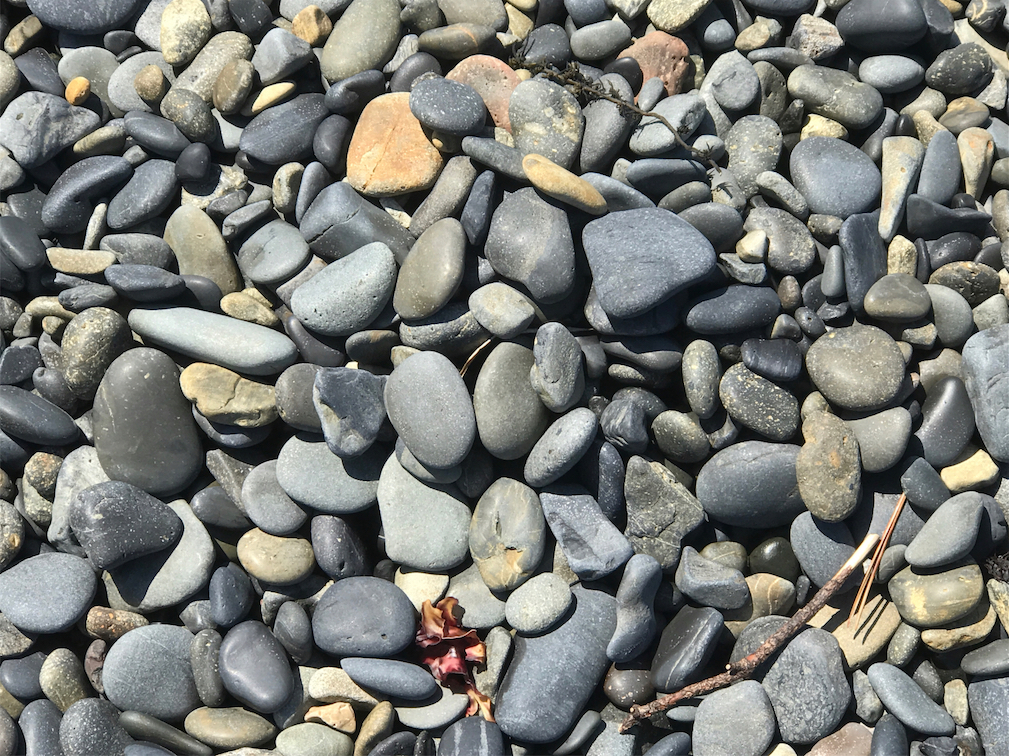 碁石海岸の石。