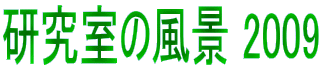 ̕i 2009