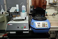 Automatic polisher