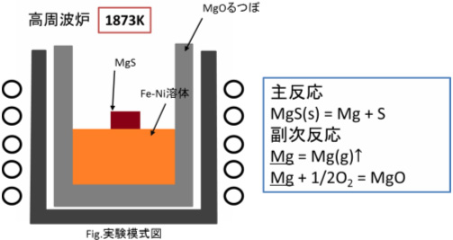 Fe-Ni合金におけるCaSとMgSの溶解速度