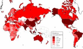 農作物消費に伴うリン資源の国際フロー解析