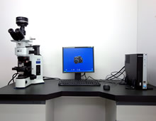 デジタル画像処理式光学顕微鏡システム