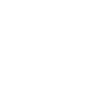 Tohoku University