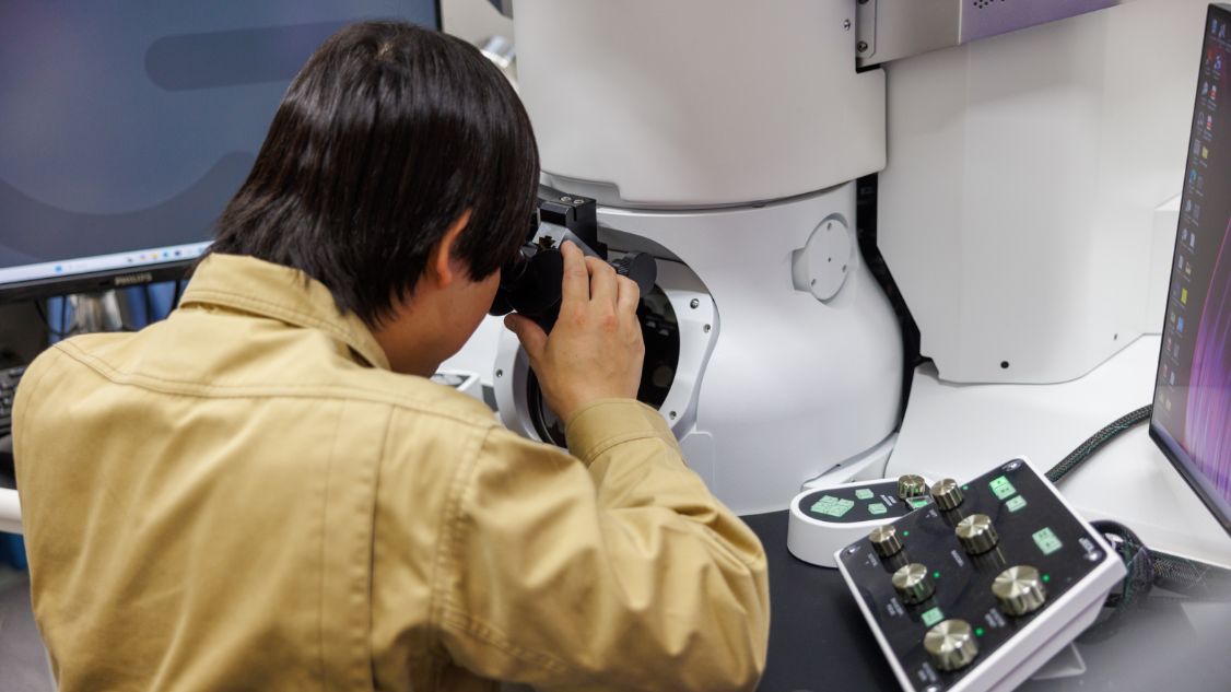 顕微鏡をのぞく野戸さん