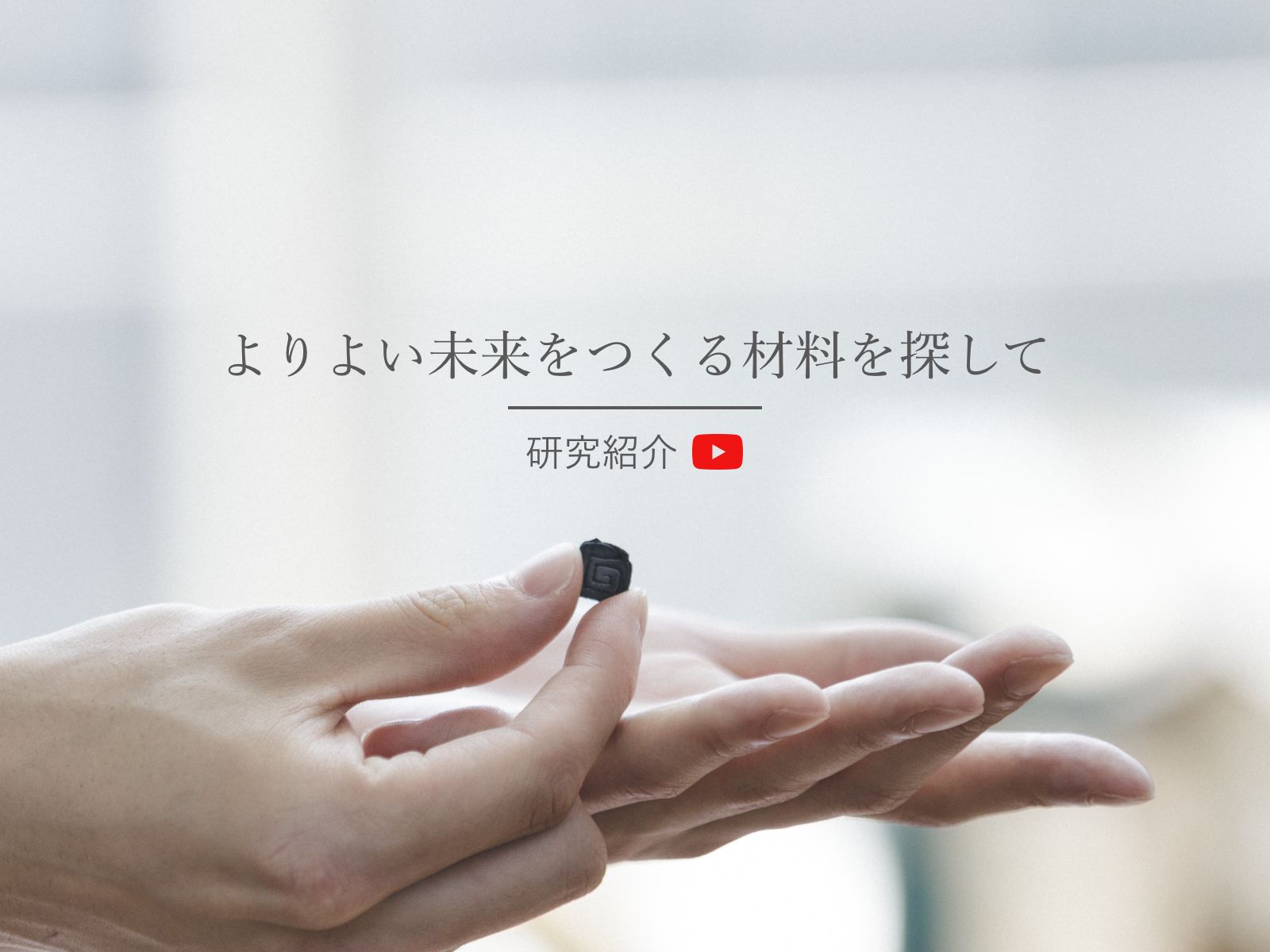 研究紹介
