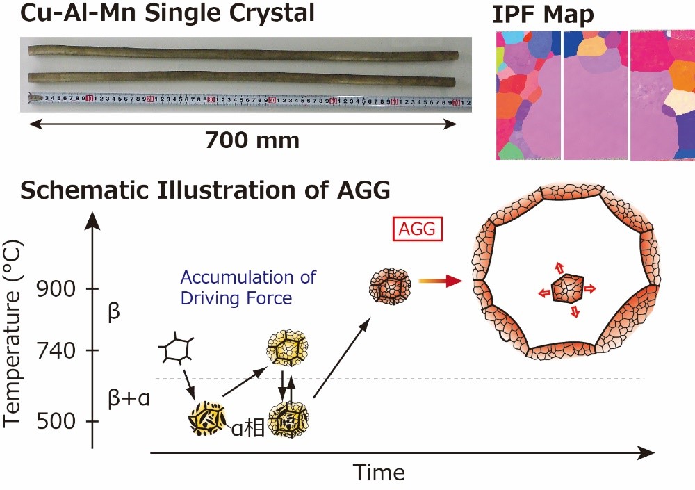 Fig. 2: Single crystal of Cu-Al-Mn superelastic alloy bars obtained by abnormal grain growth (AGG) induced by cyclic heat treatment. Inverse pole figure (IPF) map and schematic illustration of AGG are also shown.
