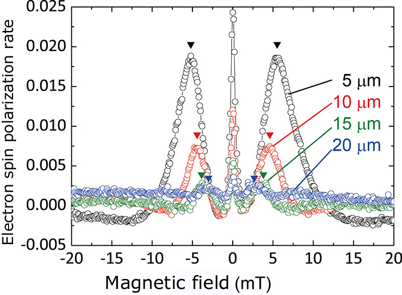 Figure 2. Spin voltage measurements at different spin detection electrodes