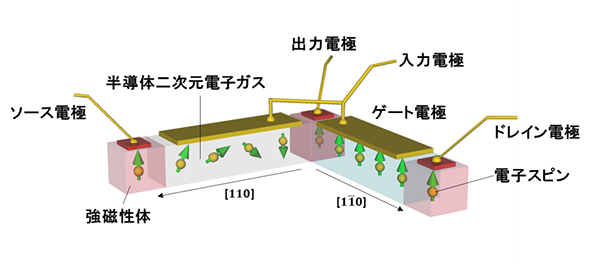 相補型電界効果スピントランジスタの模式図