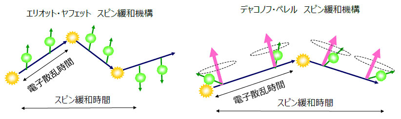 エリオット・ヤフェット機構によるスピン緩和とデャコノフ・ペレル機構によるスピン緩和を表す模式図。