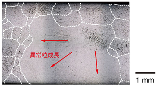 図1：異常粒成長により一つの結晶粒が粗大化する様子（白点線は各結晶粒の境界）