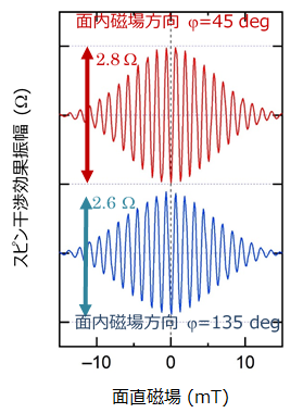 図2　スピン干渉効果振幅の面内磁場方向依存性