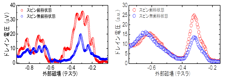 図3　スピン偏極電流とスピン無偏極電流において観測されたドレイン電圧の外部磁場依存性の実験結果(左)と理論計算(右)。スピン偏極状態の時のみ信号増大が観測され、理論計算とも良く一致する。