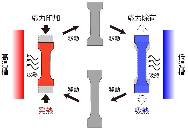 図2　従来の超弾性合金による基本的な冷却装置の模式図。