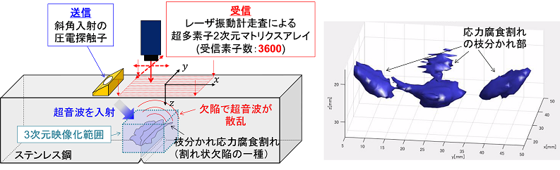 図1　発電プラントで問題となっている枝分かれ応力腐食割れ（割れ状欠陥の一種）を本研究で開発した3次元超音波映像法PLUS（左）で映像化した結果（右）