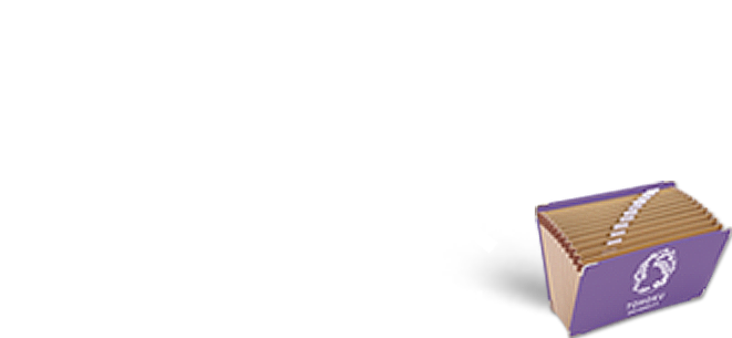 “材料”の可能性を未来の力へ ～若手研究者プロファイル～