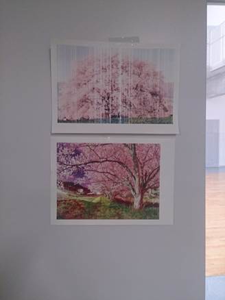 4月19日：お花見 写真2