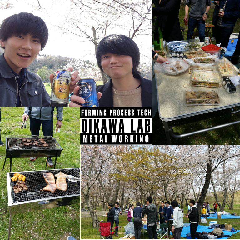 4月16日：花見＠加瀬沼公園 写真1