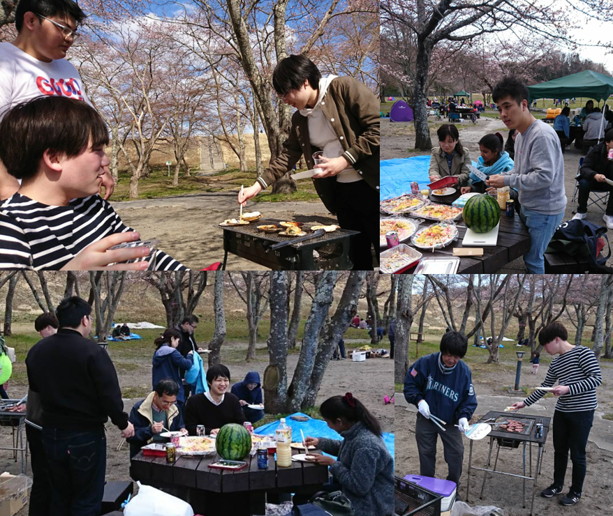 4月13日: 花見＠加瀬沼公園 写真1