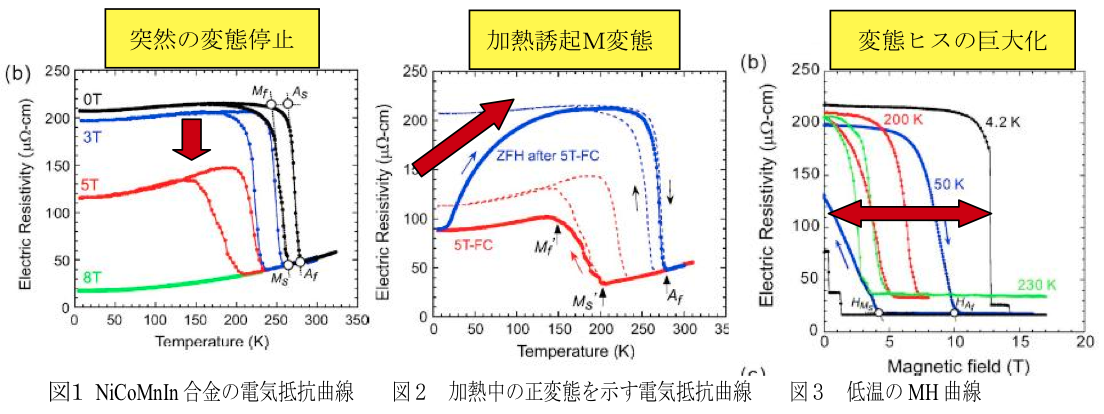 １．背景と研究目的