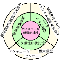 図7 　本研究のインパクト